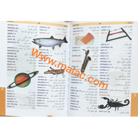 Dictionnaire MODERNE Des Eleves!