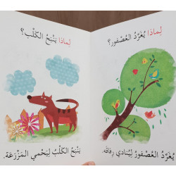 لماذا ? Pourquoi ?