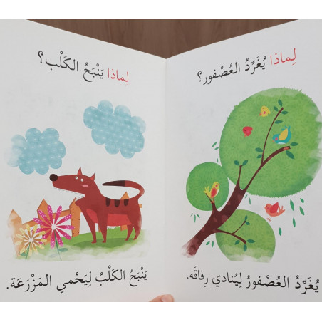 لماذا ? Pourquoi ?