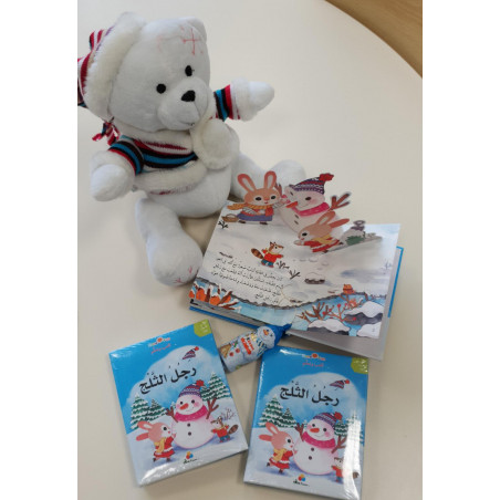 Livres 3 D Bonhomme de neige