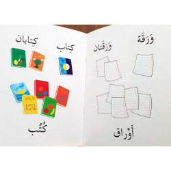 Duel et pluriel des nombres arabe