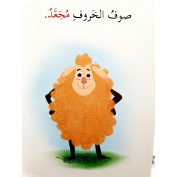 ريش،صوف،وفرو (الصفة) Plumes, laine, fourrure (adjectif)