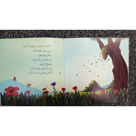 مشكلة وحلّ Problème et solution