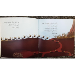 مشكلة وحلّ Problème et solution