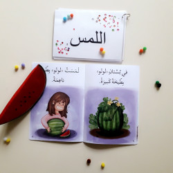 Lulu et les cinq sens