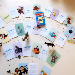 Cartes Flash des animaux de tous types
