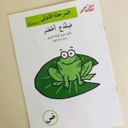 Grenouille verte (débutant)