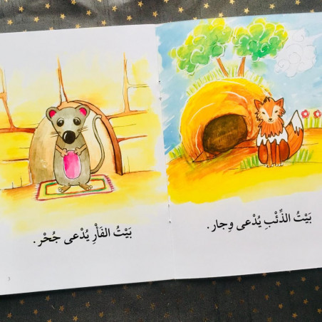 Les maisons ( moyen)