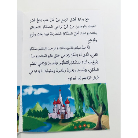 L'anniversaire de la princesse