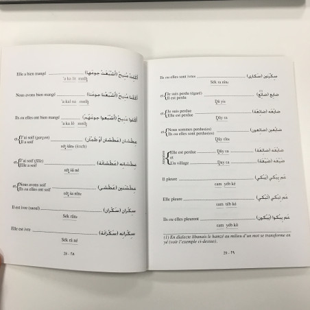 Le dialecte libanais et l'arabe et l'arabe littéral ( Première partie )