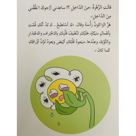 Le raton laveur nettoie 