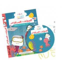 Les animaux de la mer rouge