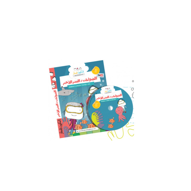 Les animaux de la mer rouge